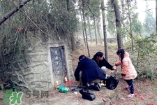 正月可以掃墓嗎？正月能不能上墳？