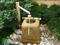 飲水機里的水可以放多久?春節(jié)過來還能喝嗎 飲水機里的水可以放多久?春節(jié)過來還能喝嗎