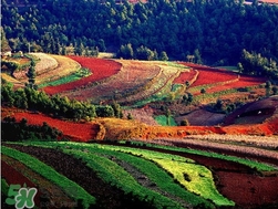 3月份去云南穿什么？三月份去云南穿什么衣服