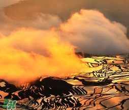 3月份去云南穿什么？三月份去云南穿什么衣服