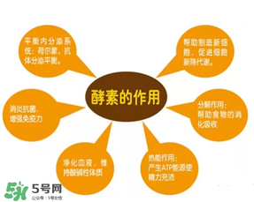 喝酵素拉肚子正常嗎？喝酵素拉肚子的原因