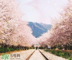 3月份去韓國(guó)穿什么？三月份去韓國(guó)穿什么衣服？