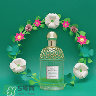 嬌蘭花草水語哪個(gè)好聞 嬌蘭花草水語系列介紹