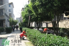 春天養(yǎng)生吃什么菜好？春季養(yǎng)生必吃四種養(yǎng)生菜