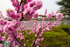 春天養(yǎng)生湯有哪些？春季養(yǎng)生喝什么湯好？