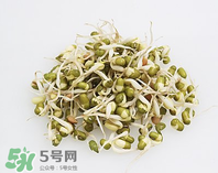 黃豆芽能做餡料嗎？黃豆芽餡包子怎么做？