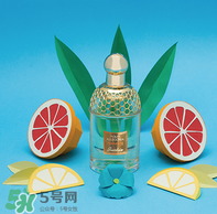 嬌蘭花草水語哪個(gè)好聞 嬌蘭花草水語系列介紹