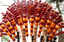 做糖葫蘆需要加添加劑嗎？做糖葫蘆用什么添加劑？