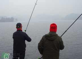 立春后能釣魚嗎？立春后好釣魚嗎？