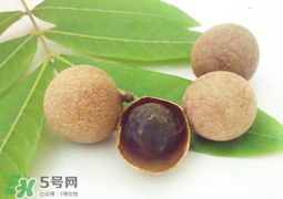 桂圓干多少錢一斤？干桂圓多少錢一斤？