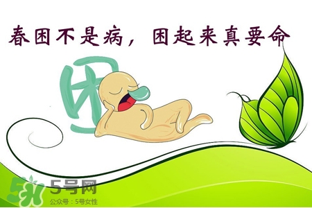 春困需要吃藥嗎？春困吃什么藥好？