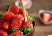 剛摘的草莓能放多久？剛摘的草莓可以放幾天？
