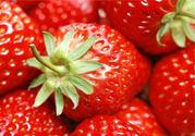 現(xiàn)摘的草莓有農(nóng)藥嗎？怎么辨別草莓打過農(nóng)藥？