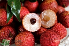 荔枝能放冰箱嗎？荔枝可以放冰箱嗎？