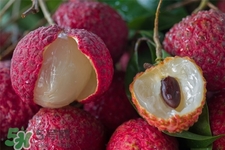 荔枝能放冰箱嗎？荔枝可以放冰箱嗎？