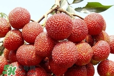 孕期吃荔枝會流產(chǎn)嗎？孕婦吃荔枝會好嗎？