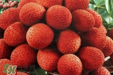 孕期吃荔枝會流產(chǎn)嗎？孕婦吃荔枝會好嗎？