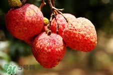 坐飛機能帶荔枝嗎？荔枝可以帶上飛機嗎？