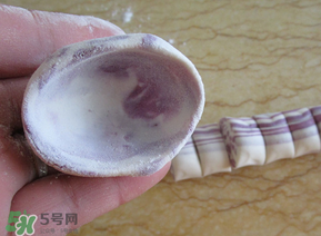 湯圓皮怎么做不破裂？湯圓皮怎么做耐煮？