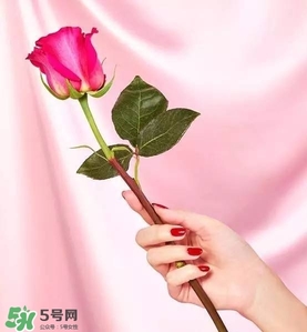 kate spade2017情人節(jié)包包多少錢(qián)？凱特絲蓓2017情人節(jié)包包哪里買(mǎi)？