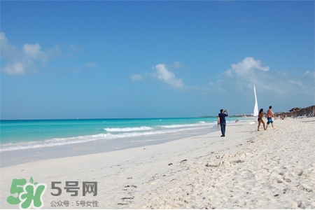 3月份適合去哪里旅游？三月份去哪里旅游好？