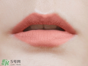 植村秀豆沙色口紅色號是幾號色？植村秀豆沙色口紅試色