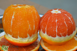 血橙為什么沒有血絲？血橙為什么不紅？