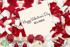 情人節(jié)可以送百合嗎？情人節(jié)送百合花好嗎？