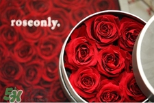 roseonly是怎么火起來的？roseonly值得買嗎？