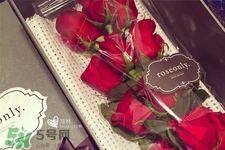roseonly鮮花多少錢？roseonly永生花多少錢？