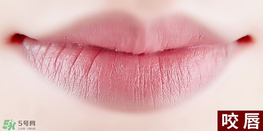 得鮮rd01豆沙色多少錢？the seam得鮮rd01試