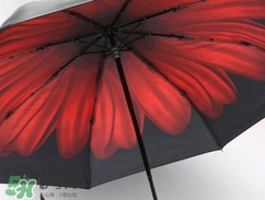 送女生傘代表什么?男生送女生傘的含義 送女生傘代表什么?男生送女生傘的含義