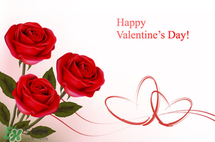 和女朋友的第一個(gè)情人節(jié)怎么過(guò)？和女朋友的第一個(gè)情人節(jié)怎么過(guò)比較浪漫？