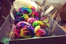 彩色玫瑰代表什么意思？彩色玫瑰花語是什么含義？