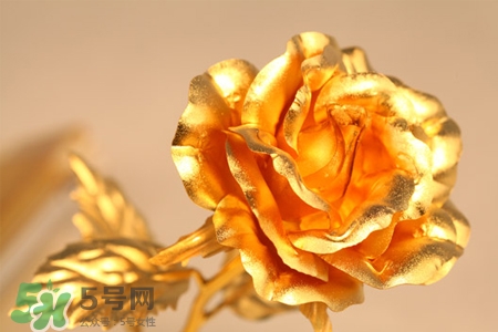 情人節(jié)可以送金玫瑰嗎？情人節(jié)送金玫瑰好嗎？