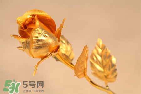 情人節(jié)可以送金玫瑰嗎？情人節(jié)送金玫瑰好嗎？