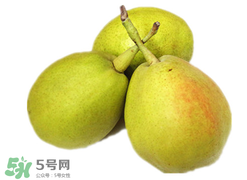 香梨多少錢一斤？香梨怎么挑選？