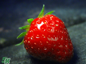 小孩多吃草莓好嗎？小孩可以摘草莓嗎？