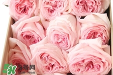 鮮花怎么養(yǎng)？鮮花怎么養(yǎng)放的比較久？