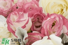 鮮花怎么養(yǎng)？鮮花怎么養(yǎng)放的比較久？