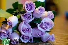 鮮花怎么養(yǎng)？鮮花怎么養(yǎng)放的比較久？