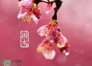 雨水吃什么？雨水節(jié)氣飲食禁忌？
