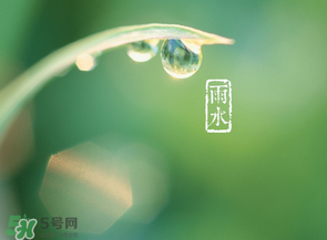 雨水吃什么？雨水節(jié)氣飲食禁忌？
