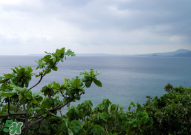 春天怎么還有霧霾？一年中霧霾高發(fā)期是哪個(gè)季節(jié)？