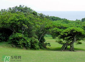 春天怎么還有霧霾？一年中霧霾高發(fā)期是哪個(gè)季節(jié)？