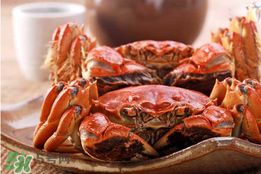 春天的螃蟹能吃嗎？開春后大閘蟹能吃嗎？