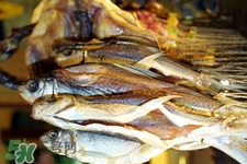 禽流感可以吃魚嗎？禽流感期間能吃魚嗎？