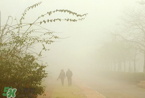 一年中霧霾最嚴(yán)重的是哪幾個月？霧霾天氣在什么時候出現(xiàn)的？