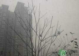 霧霾天開空調(diào)會不會污染室內(nèi)空氣？