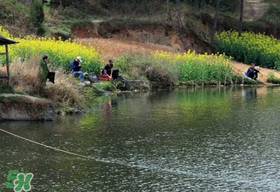 春天釣魚用什么餌料？春天釣魚用腥還是香？